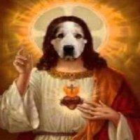 $God (@goodolddogsol) 's Twitter Profile Photo