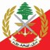 Lebanese 🇱🇧🇦🇲 #SouthLebanon (@AounLebnen) Twitter profile photo