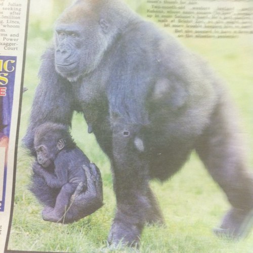 moran_craig's profile picture. 