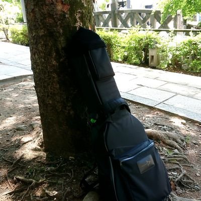 torusimon49's profile picture. さて、どうしよう