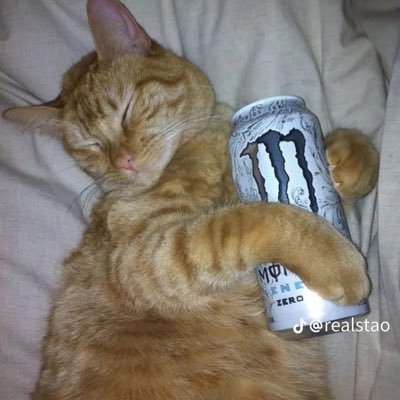 EepyRaccoon2's profile picture. 23 year old horny poster (taken)