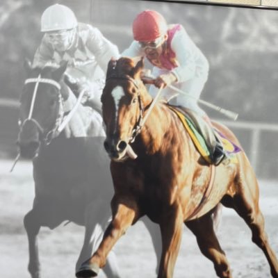 競馬の熱い想いが具現化したところをたくさん撮影しております。馬券も買うし、写真も撮るし、酒も飲む、フッ軽な人。中山と府中が主戦場。たまに遠征。野球シーズン中はヤクルトと西武の応援→@kntjanakukenta