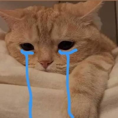 yam15397's profile picture. ig:_phxxt_nj