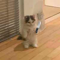 เซนหนี (@sainlesemajeste) 's Twitter Profile Photo เซนหนี (@sainlesemajeste) 's Twitter Profile Photo