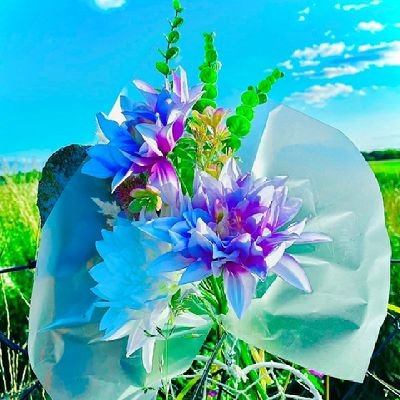 jhabbuyadav100's profile picture. 