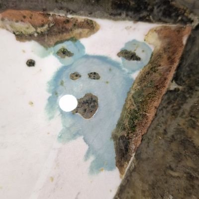 jackhorno1's profile picture. Evangelist

Be ye saved:
https://t.co/GurfgCCSSh

@spaace_io