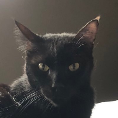 TanyaGuevarra's profile picture. 