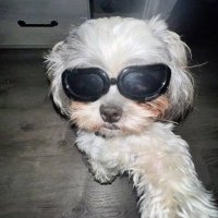Dion🧃 (@deeyhon) 's Twitter Profile