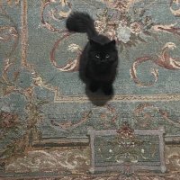 عهد (@u1_ii8) Twitter profile photo