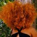 IDARA🌼 (@iddarahh) Twitter profile photo IDARA🌼 (@iddarahh) Twitter profile photo