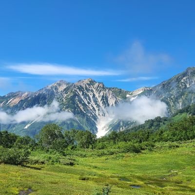 QNskd1n3gz83563's profile picture. 閲覧用。無言フォロー失礼します。