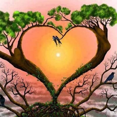 MmmMm199874's profile picture. كل الوصال دون وصلك هجر
وكل الهجر دون هجرك وصلُ
فيا ليت طيفاً منك يأتي
ويا ليت إني لهذا الطيف أهلُ