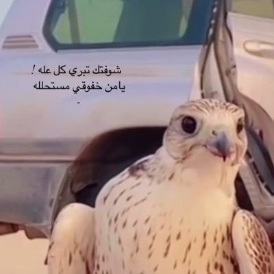 اليش اتغلي ونت دوم موجود 🤍