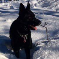 Helene Roux (@rou58117roux) 's Twitter Profile Photo Helene Roux (@rou58117roux) 's Twitter Profile Photo