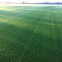 Aidan Burke - @Turflawnsales - Twitter