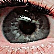 EmilieGGatfield's profile picture. Random Redhead. Democrat, pro-Labor, pro-kindness, pro-crastinator...

#FBR - if I don't follow back right away, I'm looking for accounts to unfollow...