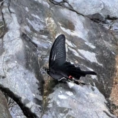 soropart1265's profile picture. 好きな曲達＝僕の人生