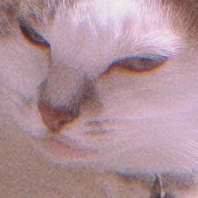 anuenue00's profile picture. 飯や絵を作る、猫好き一般OTAKUです 𓌉◯𓇋🖌🐱/成人済いにしえの腐☺️/🫶YouTube動画ゲーム配信イラスト写真拝見&文具/📖📺呪術 NARUTO H×H 銀魂 金カム しろくまカフェ 攻殻 あたしンち/👾ゼルダ バテン ゼノブレ/🗣JP&ENG