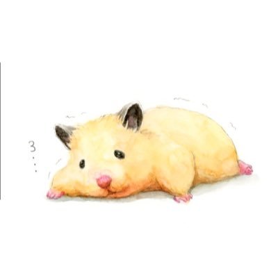 ago_go5's profile picture. ログアウト