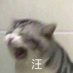 xiaopengyou (@xiaopengyouu365) Twitter profile photo xiaopengyou (@xiaopengyouu365) Twitter profile photo
