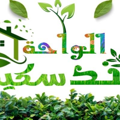 شركه الواحه لند سكيب لتنسيق الحدائق المنزلية