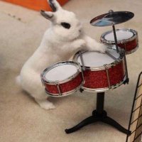 SalvSensoSalv (@salvsensosalv) 's Twitter Profile