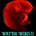 WATER WORLD (@waterworld39455) Twitter profile photo WATER WORLD (@waterworld39455) Twitter profile photo