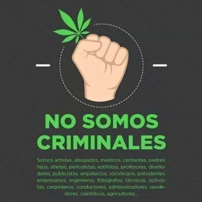 ©Con 17 años y 0 idea cultive 2 plantas de balcón  y empeze a investigar de sus propiedades y tipos de cultivos. 
20 años apoyando AUTOCULTIVO #Legalizacion2024