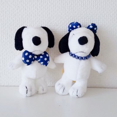 shimao121719's profile picture. 