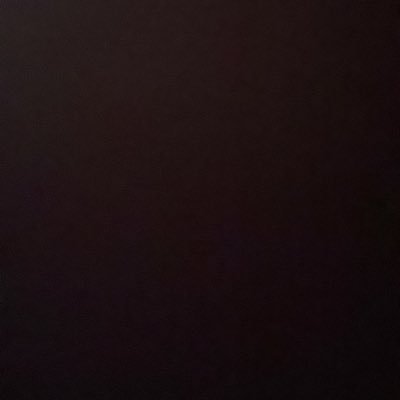 WernerNikolaus's profile picture. 