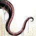 None (@symbiote784) Twitter profile photo None (@symbiote784) Twitter profile photo