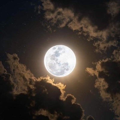 memealsharif83's profile picture. معلمة 👩🏻‍🏫 لُطف الله .. كفيلٌ بكلِّ شيء ✨