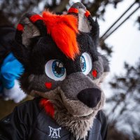 GhostWolffy(@GhostWolffy_) 's Twitter Profile Photo