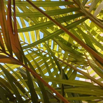 gur_deepkaur's profile picture. 