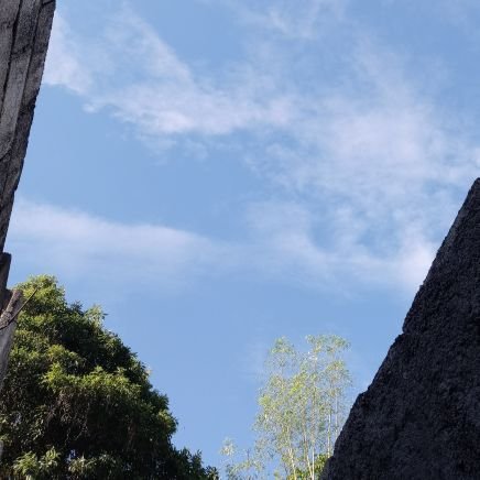 jeff_jean38823's profile picture. 