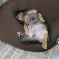 ts๐ฅบ๐๐งธ๐ฎ๐น๐ฐ (@ts5596) 's Twitter Profile