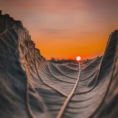 JJyjw42634's profile picture. 