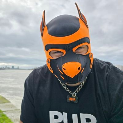 Pup Jaffa 🔜 PU*L, FWL, MCR Pride, GCFW