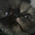 Reegan 🤍 (@guppyreegs) Twitter profile photo Reegan 🤍 (@guppyreegs) Twitter profile photo