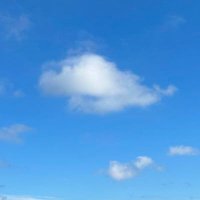 WhiteBrown_0805 (@whitebrown0805) 's Twitter Profile