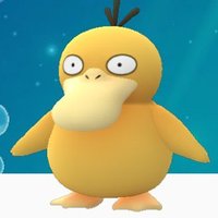 カルび (@koduck__psyduck) 's Twitter Profile