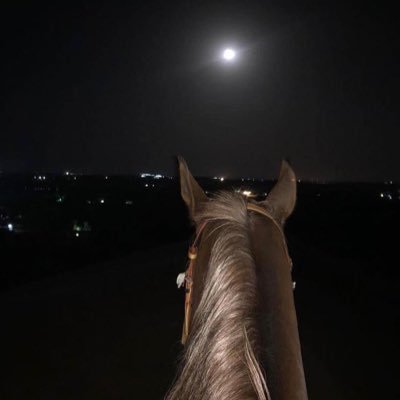 alrouqqi's profile picture. واقف في وجه الأيام