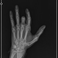 ERCAN (@ercan02831116) 's Twitter Profile