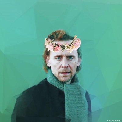 Tom Hiddleston/Zawe Ashton/Loki fan account
SW, MCU, GoT among other things  
(36, F, she/her)
