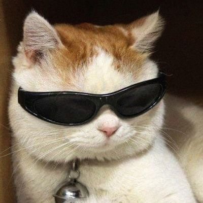 crocrod4an's profile picture. 𓆌𓆌𓆌𓆌