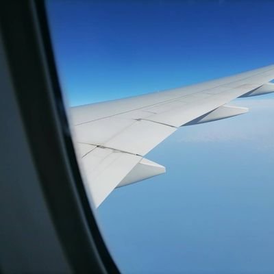 dontdothat89's profile picture. happy freedom