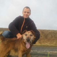 Adrien (@adrienleroux2) 's Twitter Profile