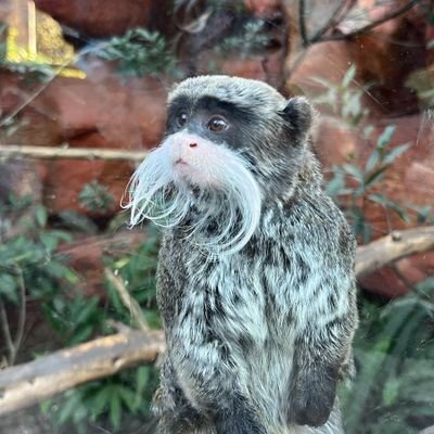 JoseARiversL's profile picture. 