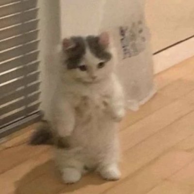 rxresq6's profile picture. .