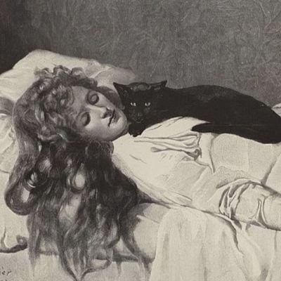 adhocrp's profile picture. another happy landing